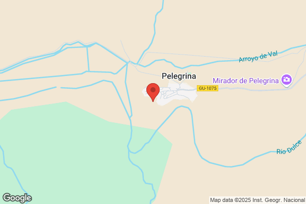 Castillo Pelegrina s.