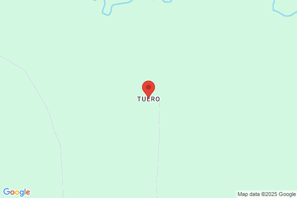 Tuero Tuero e.