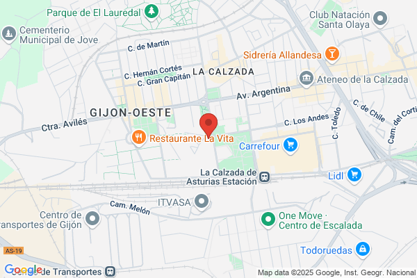 Instituto Nacional De La Salud (Centros De Salud centro Salud La calzada)