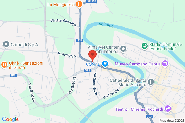 Clinica Veterinaria Capua