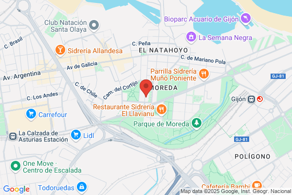 Seguros Ardura & Asociados