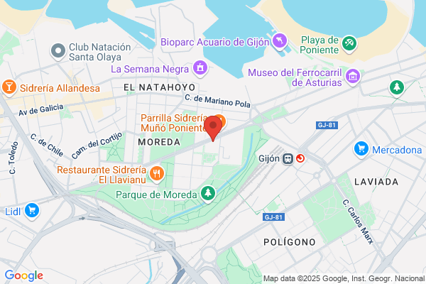 Astur Leonesa De Automocion S.L.