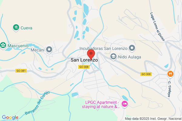 Colegio San Lorenzo