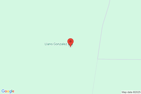 Llano Gonzalez m.