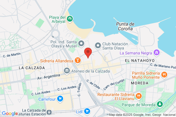Residencia Geriatrica De Asturias S. L.
