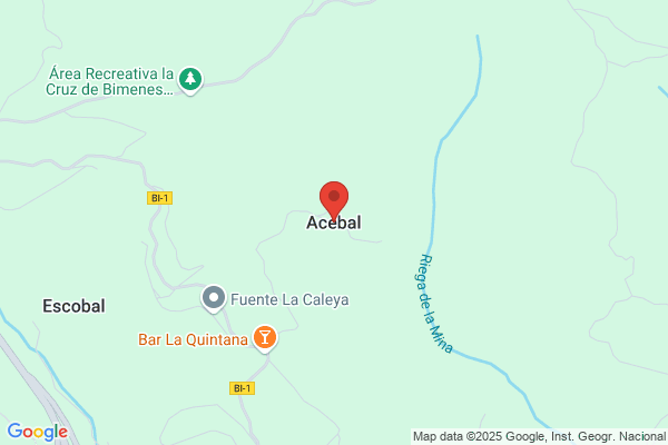 Acebal Pelaez j. J.