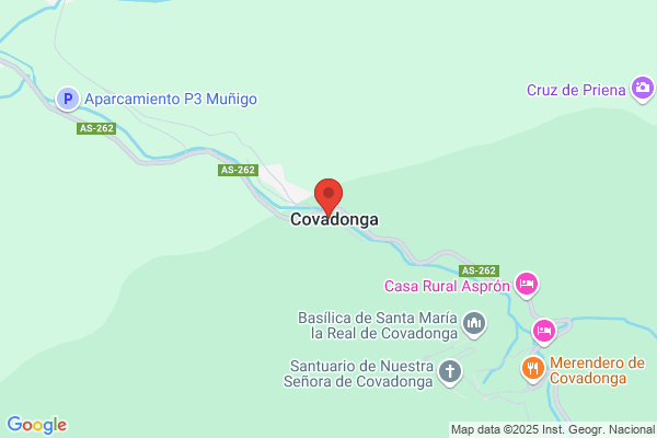 Covadonga 16 S.L.