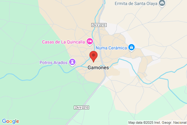 Gamoneda Garcia-Meras g.