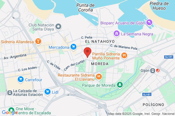 Brillbird Spain