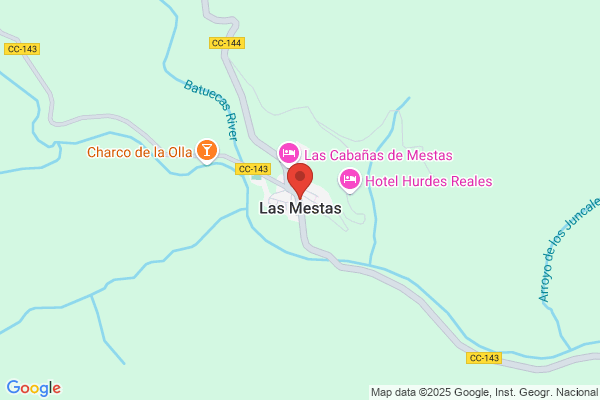 Inversiones Las Mestas S.L.