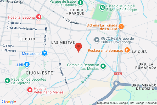 Inversiones Las Mestas S.L.