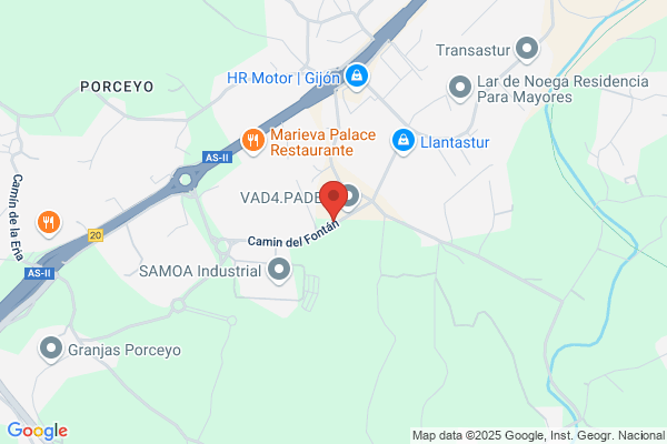 Servicios Industriales Y Navales Asturianos S.A.