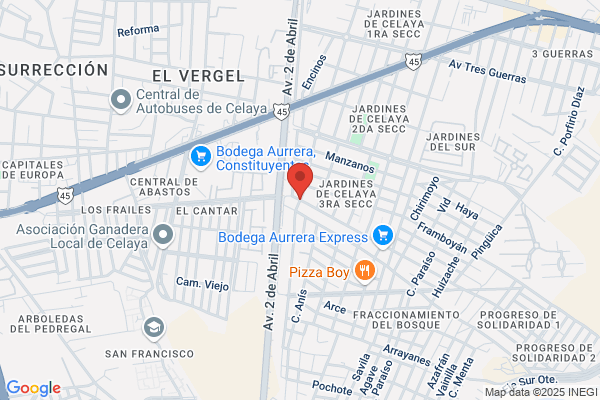 Celaya Perez m.
