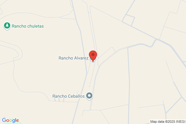 Alvarez Rancaño p.