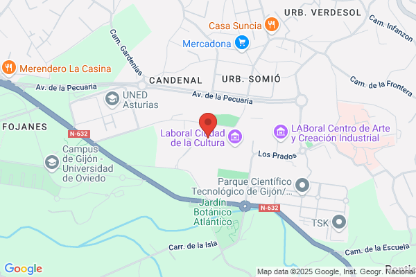 Conservatorio Profesional De Musica