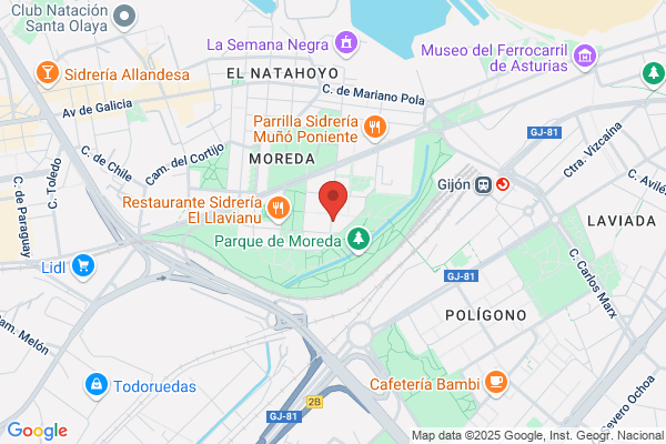 Federacion Gijonesa De Asociaciones De Vecinos