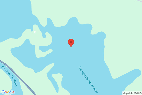 Lago Palomeque m.