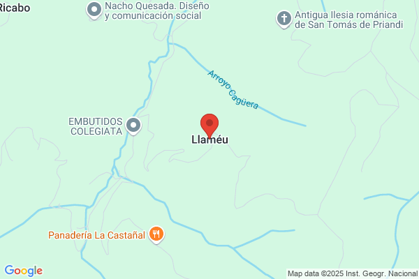 Llamedo Camblor v. R.