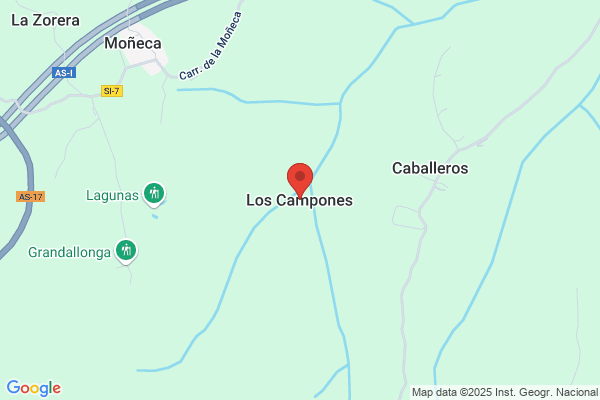 Grúas Los Campones