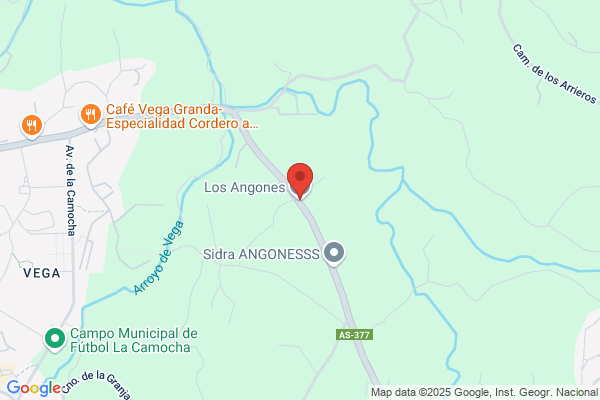 Los Angones S. A.