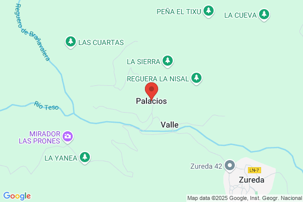 Vena Palacios s.