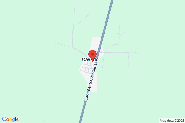 Cayado Bada c.