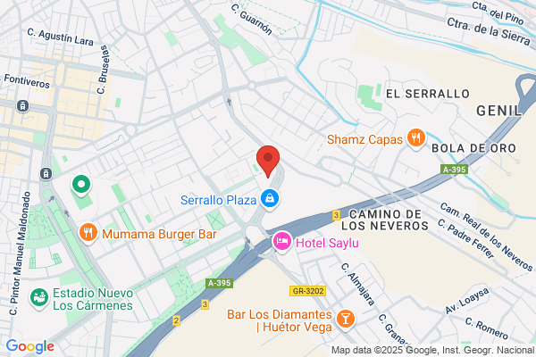 Federacion Provincial De Minusvalidos Fisicos De Granada