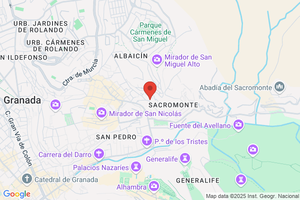 Escuela Carmen de las Cuevas, flamenco y español para extranjeros