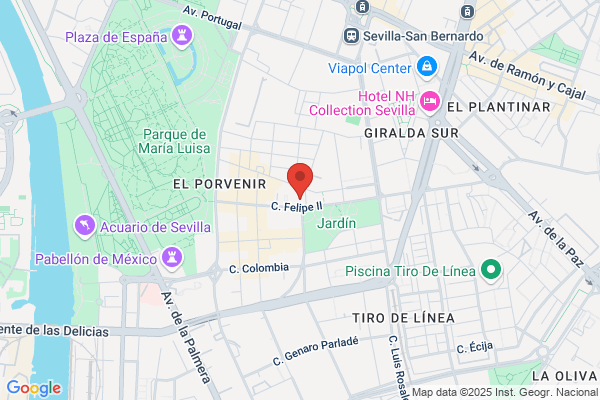 Salguero Sevilla f.