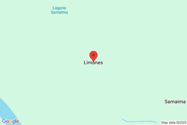 Limones Lopez m.