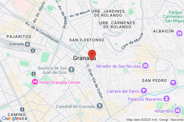 Hotel Triunfo Granada