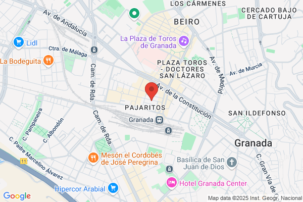 Bosch Car Service Rayfra Inyeccion