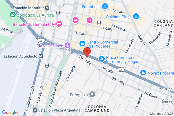 Restaurante Pizzeria Vesubio (Servicio A Domicilio)