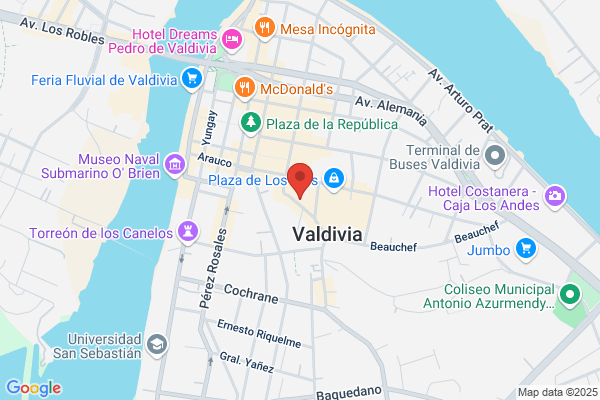 Fuente-Ruiz De Valdivia j. De La