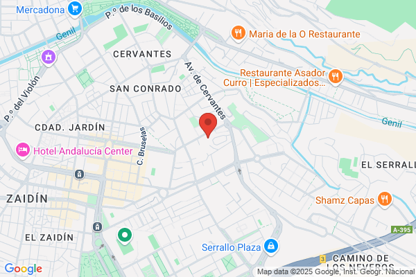 Leyva Argente Del Castillo r.