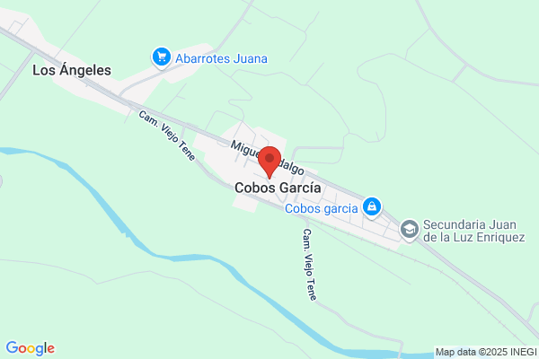 Garcia Cobos m. T.