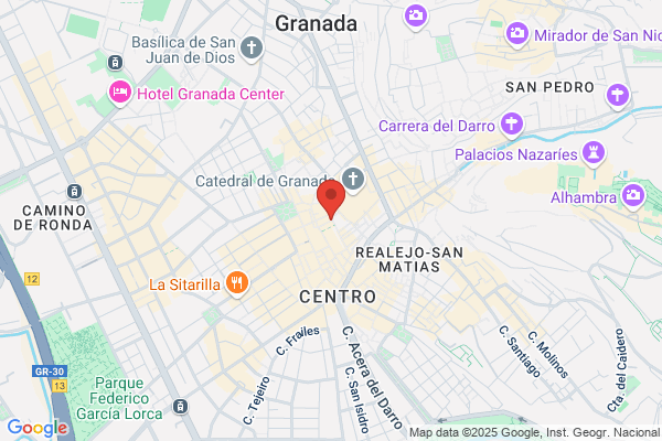 INES ROSALES - GRANADA