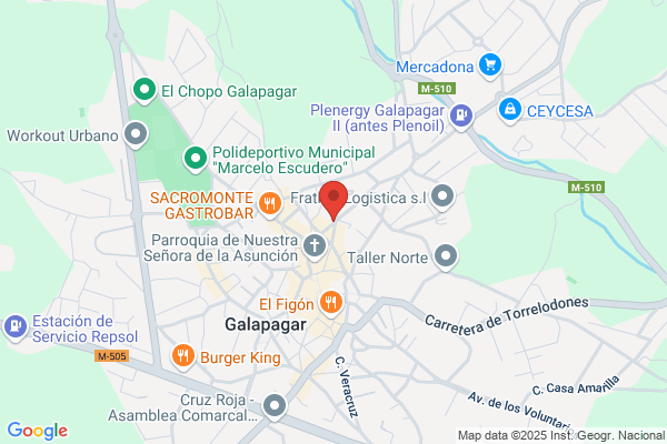 Servicios Gasista S.A