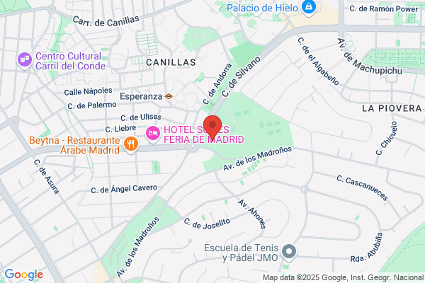 Liceo Frances De Madrid
