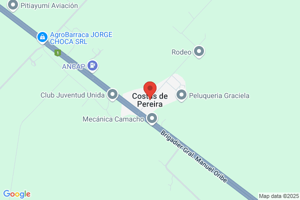 Pereira Costas d.