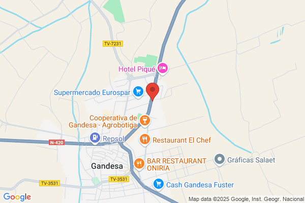Florensa Gari j.