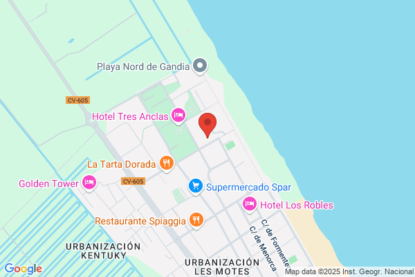 Bar Palmera S.L.