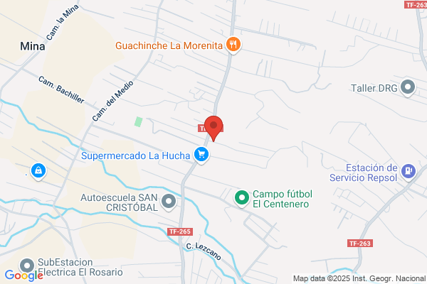Gruasy Transportes Domer Sl