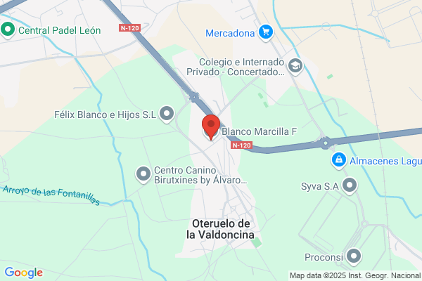 Aparicio Del Blanco j.