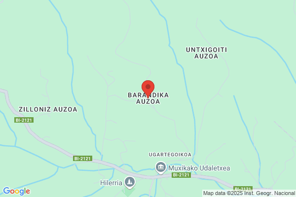 Barandica Amechazurra h.