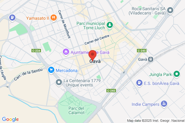 Banco Central Hispanoamericano S.A.