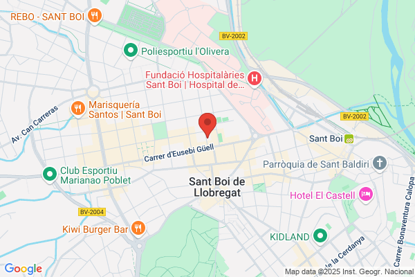 Arrastres Y Servicios Sant Boi S.L.