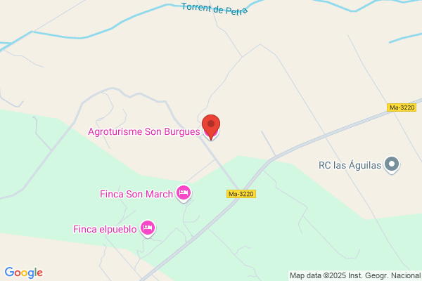 Burgues Sans e.