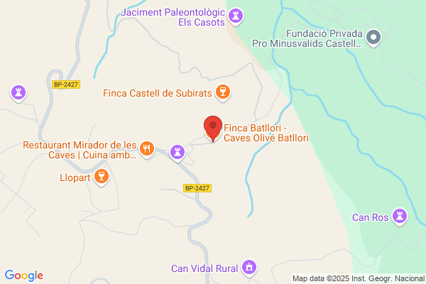 Finca Batllori