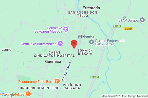 Goicoechea Jimenez j. M.